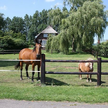 B&B Pension "Op'E Koai" Jirnsum エクステリア 写真